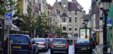 Afbeelding van Introductie: Parkeren en Gedrag